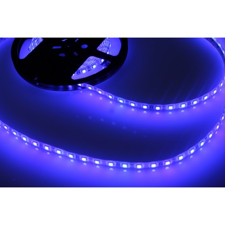 Tira de luces LED azul con pilas 50 Micro tiras de luces LED 5M Tira de  luces LED para interiores y exteriores con temporizador de ahorro de  batería Zhivalor YQ-0313